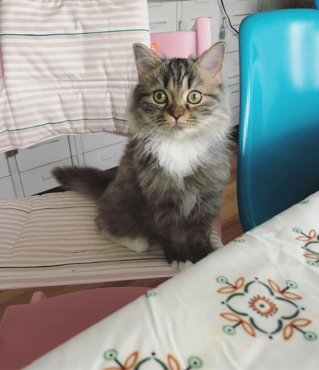 Max