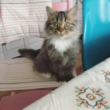 Max